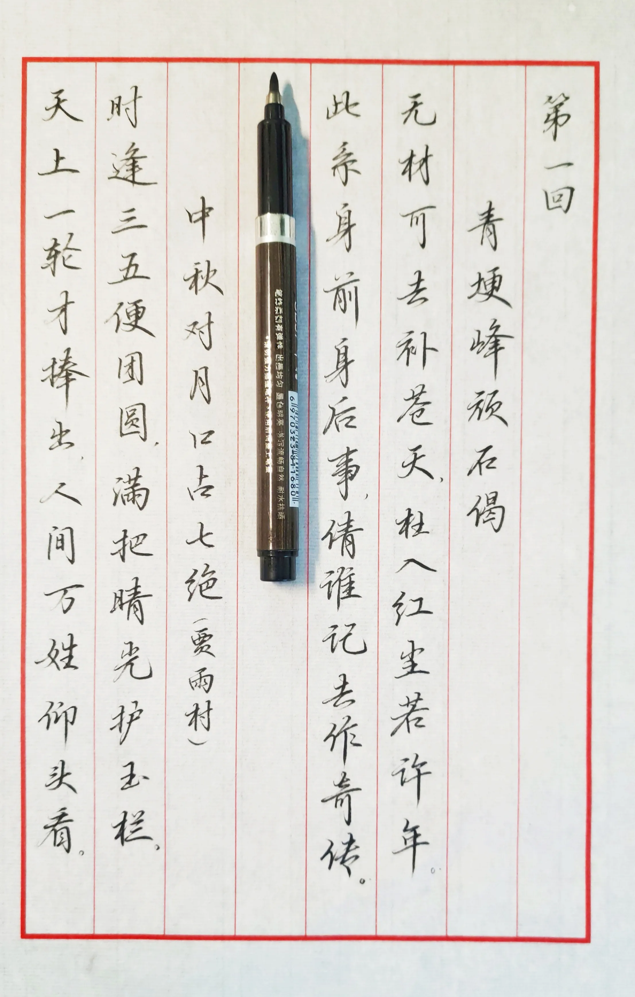 Fine Chinese calligraphy written in black ink