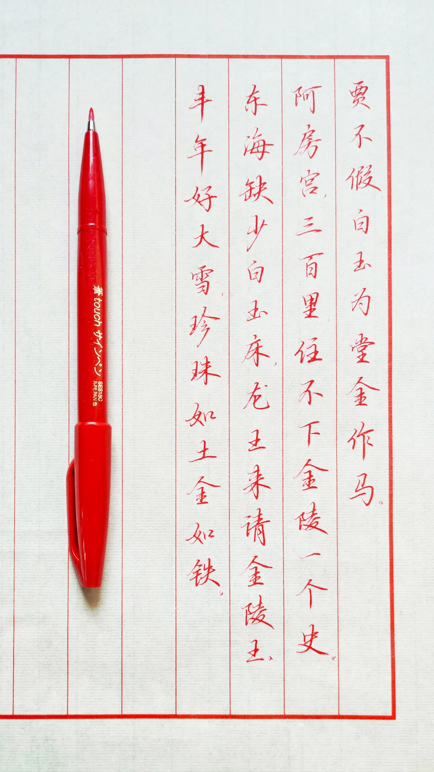 Chinese calligraphy notes in red ink